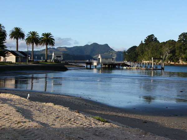 Whitianga Harbour
