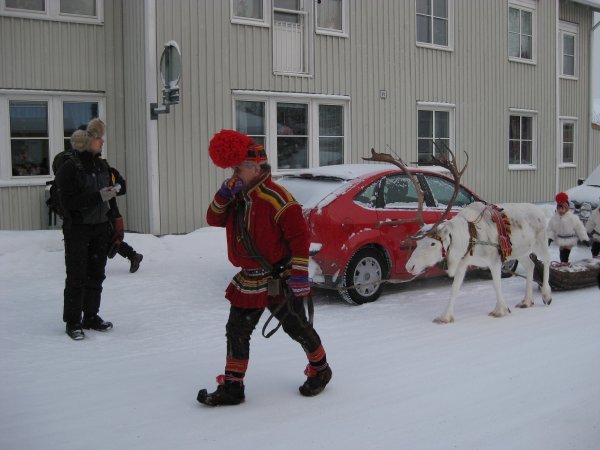 Reindeer caravan!