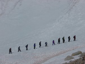 march of the penguins (or people)