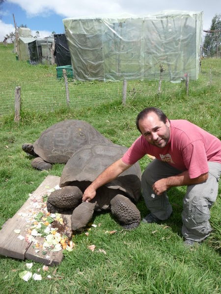 I never knew Tortoises liked their necks rubbed!