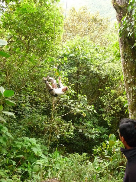 Ann Swings in the Jungle