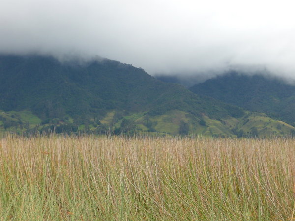Reeds, Mountains & Clouds