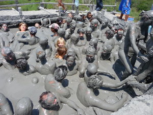 A very crowded mud pool