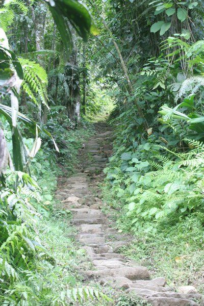 The Tayrona Trail