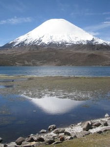 Volcano Parinacota reflected in Lago Chungara