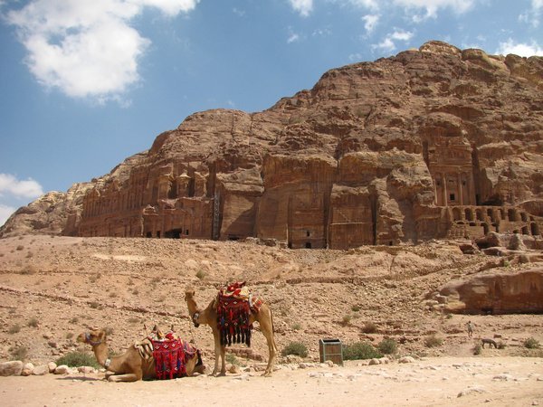 More Tombs with Camels
