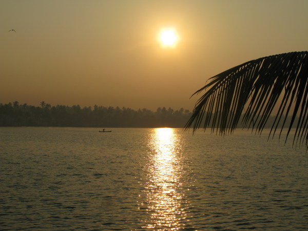 Early Morning, Kerala Backwaters