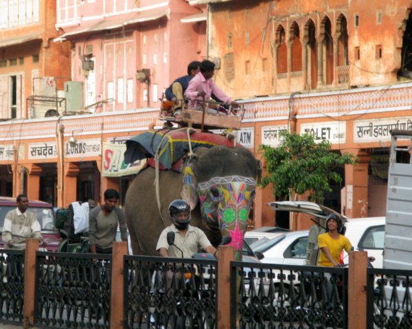 Rush Hour in Jaipur