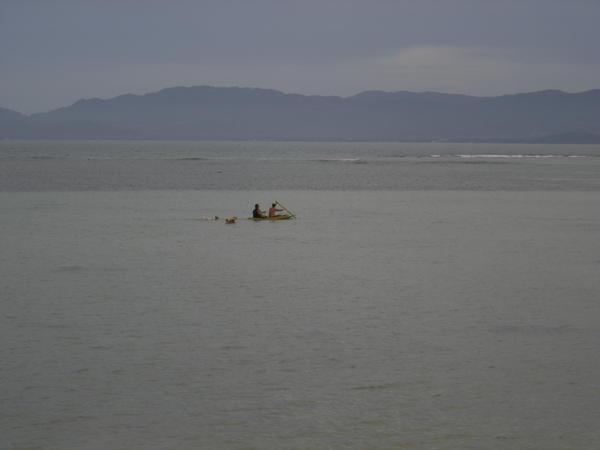 2 men in a boat with some dog's
