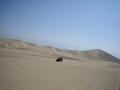 Sand Boarding in Huachachina