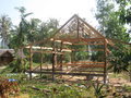 Framing a new bungalow