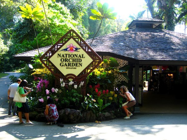 The Orchid Garden