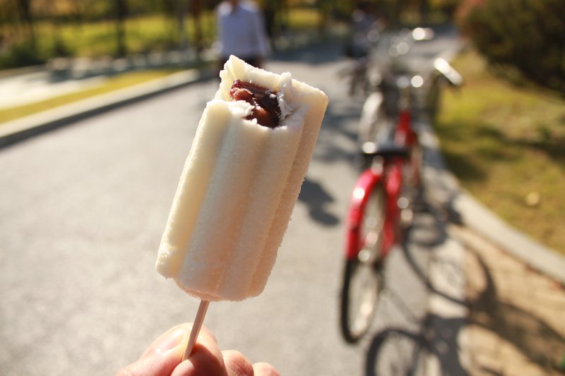 The popsicle with the sweet red beans filling