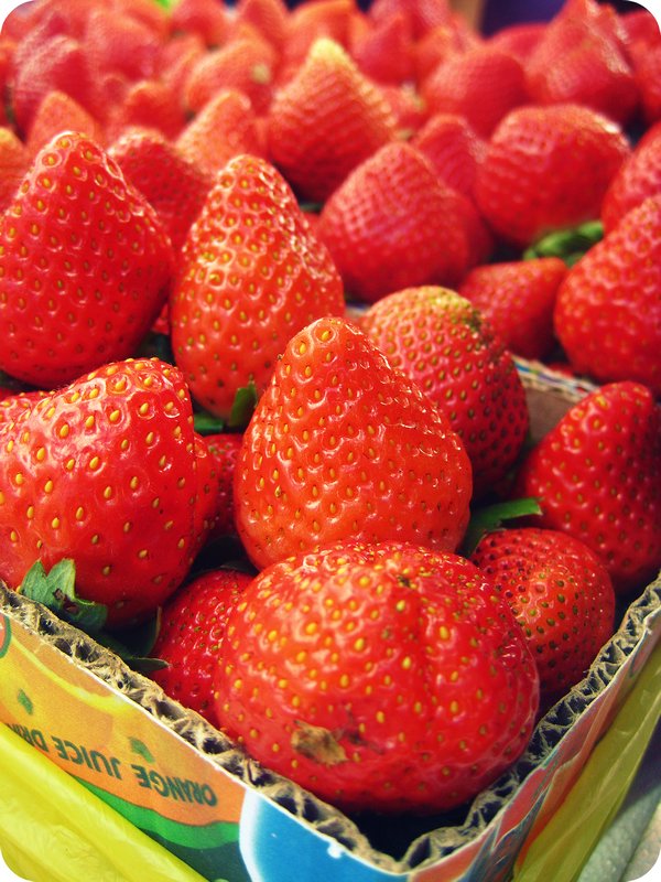 Strawberry Farm, Benguet