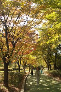 Yeouido Park 