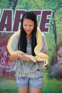 Albino Python (I wasn't exactly ready for a snake)