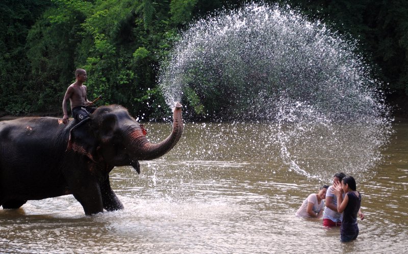 Thailand Elephant Tour