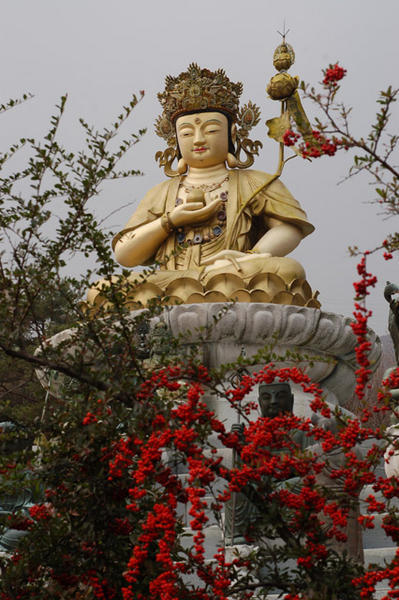 A buddha in Busan