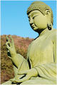 The 15m Buddha