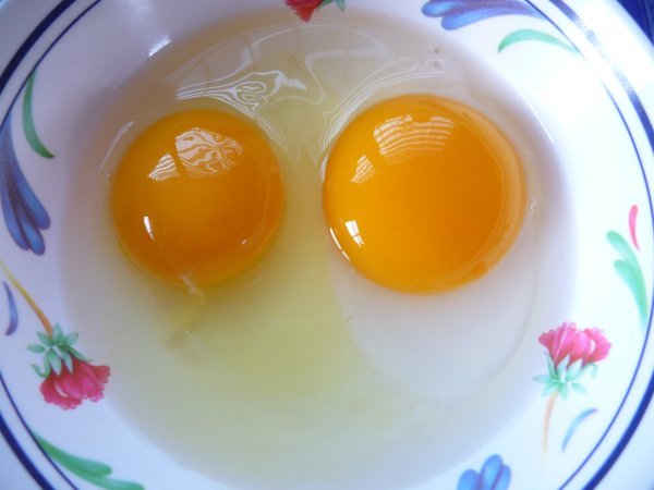 Which is the real egg?