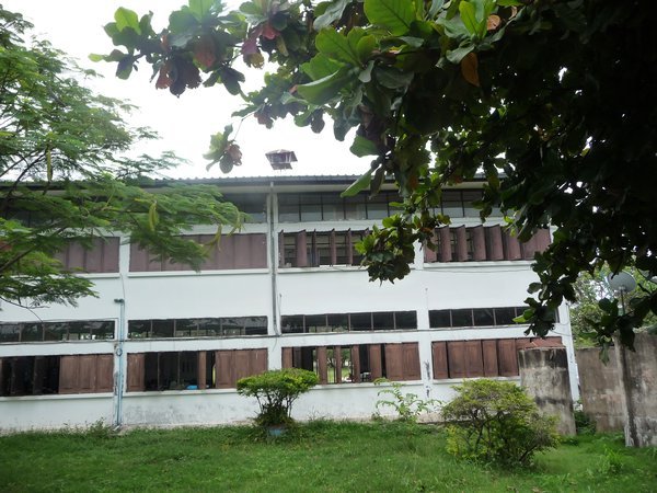  A view of my school