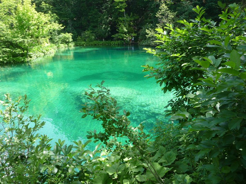 pools of emerald water