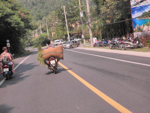Transporting Hay