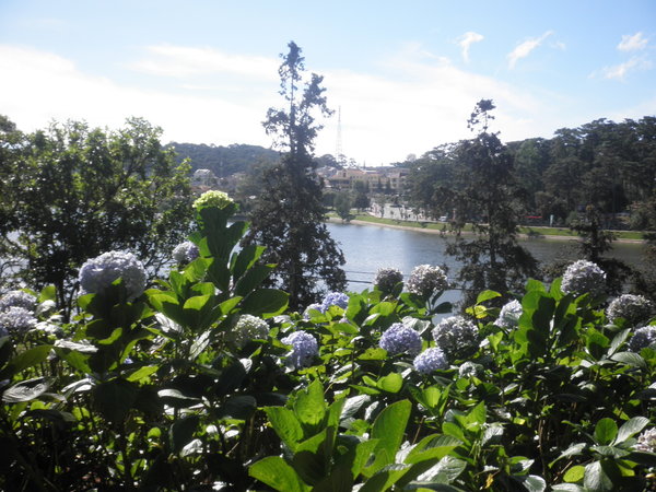 View Of The Famous Lake in Dalat