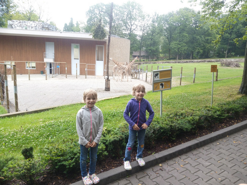 de zoo van Krakau