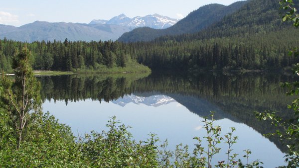 Reflections at Pine Lake