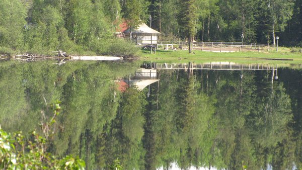 More Reflections at Pine Lake
