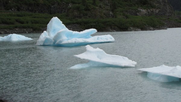 Icebergs by Visitors Center