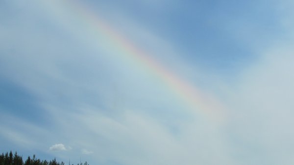 Straight Rainbow