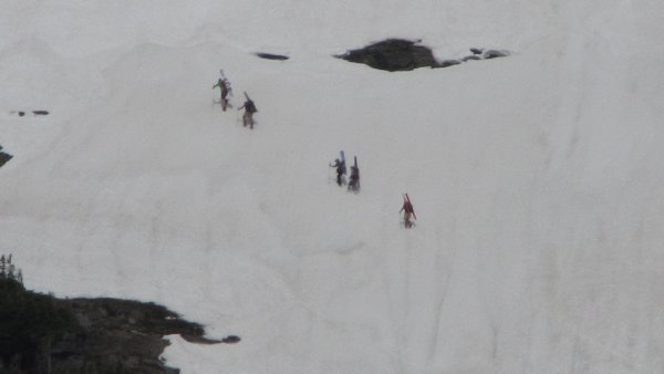 Skiers hiking up the snow field