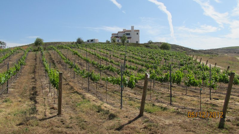 Hill's Vinyard and Home
