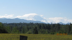 Mt Rainier 