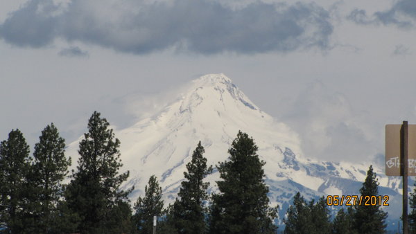 Mt. Hood From US 26 (South)