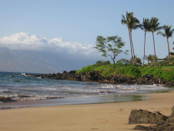 A beautiful beach in Maui