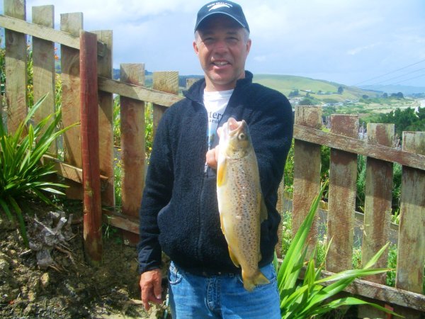 Clutha River Brown Trout