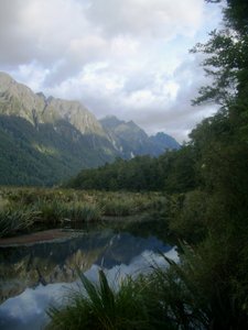 Road to Milford Sound II