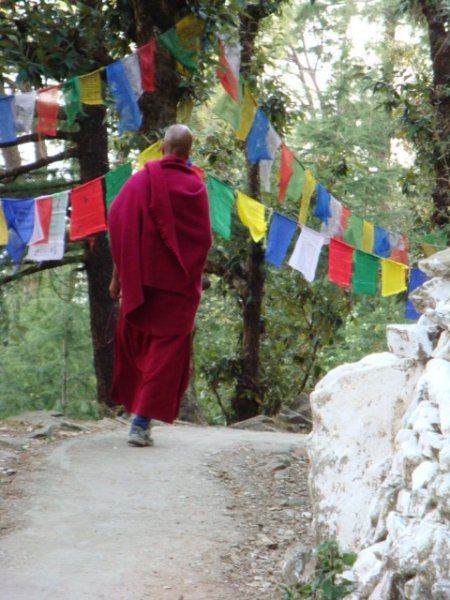 monk on prayer walk