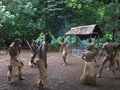 Stamme-dansen