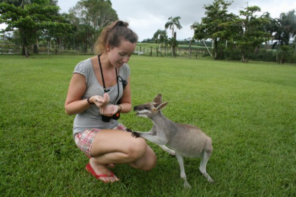tasha and a kangaroo