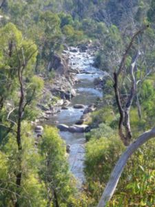 River view from Omeo Highway