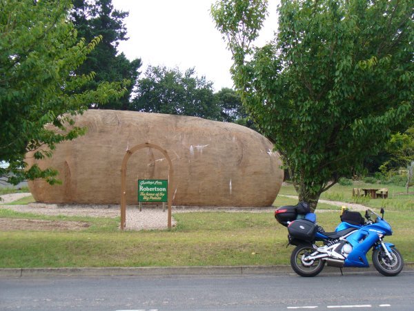 Robertson NSW - Home of the Big Potato