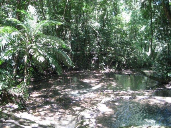 Jungle trail to Palenque