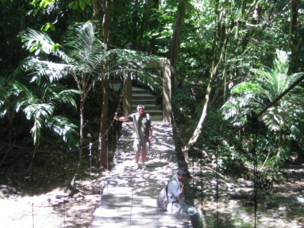 Raymondo walking on a swinging bridge on the jungle trail to the Palenque ruins