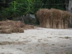 Thatch roofing material