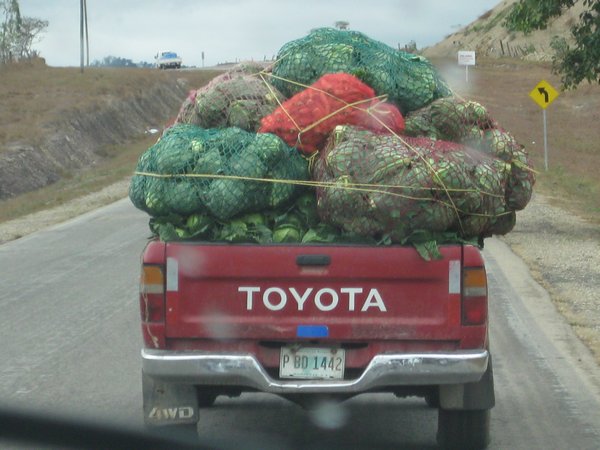 Cabbage.  Along the highway in El Salvador.