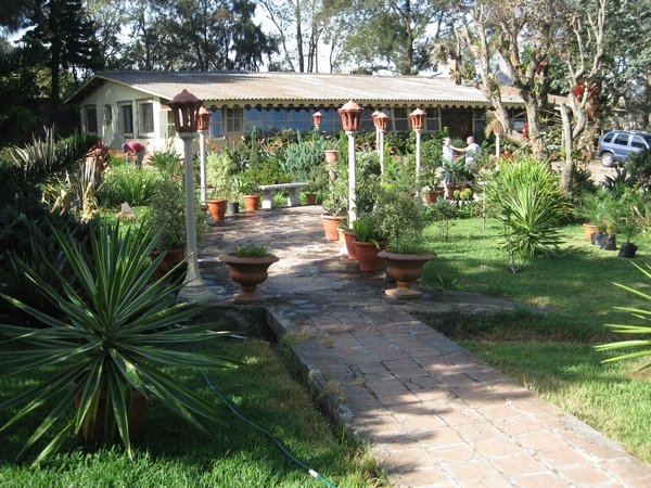 Julio’s garden where he collects and propagates numerous plants for his own enjoyment and sale.